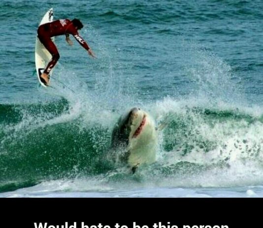 Would love to/would hate to.